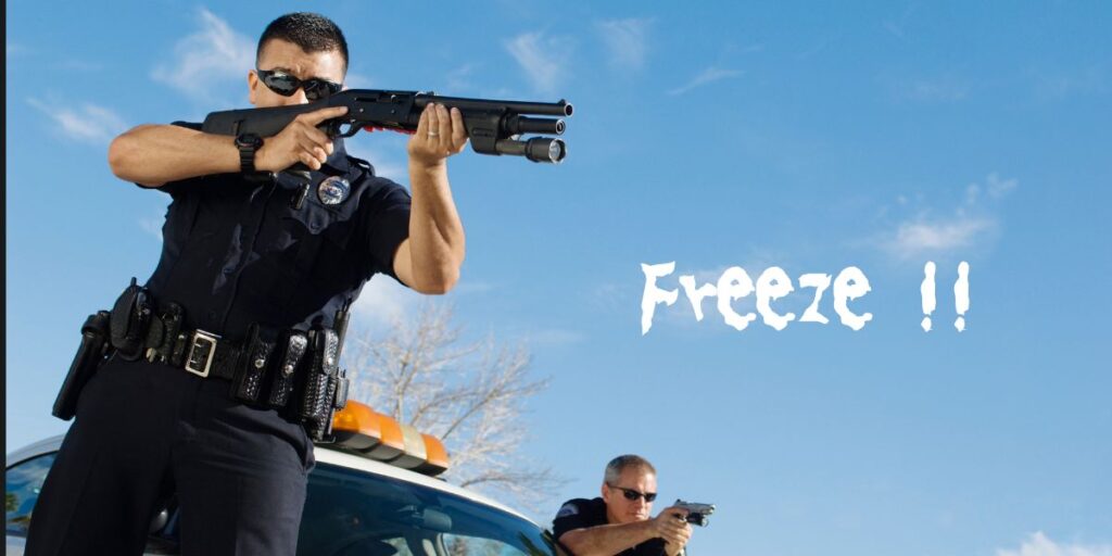 Freeze!

拳銃を構える二人の警官。