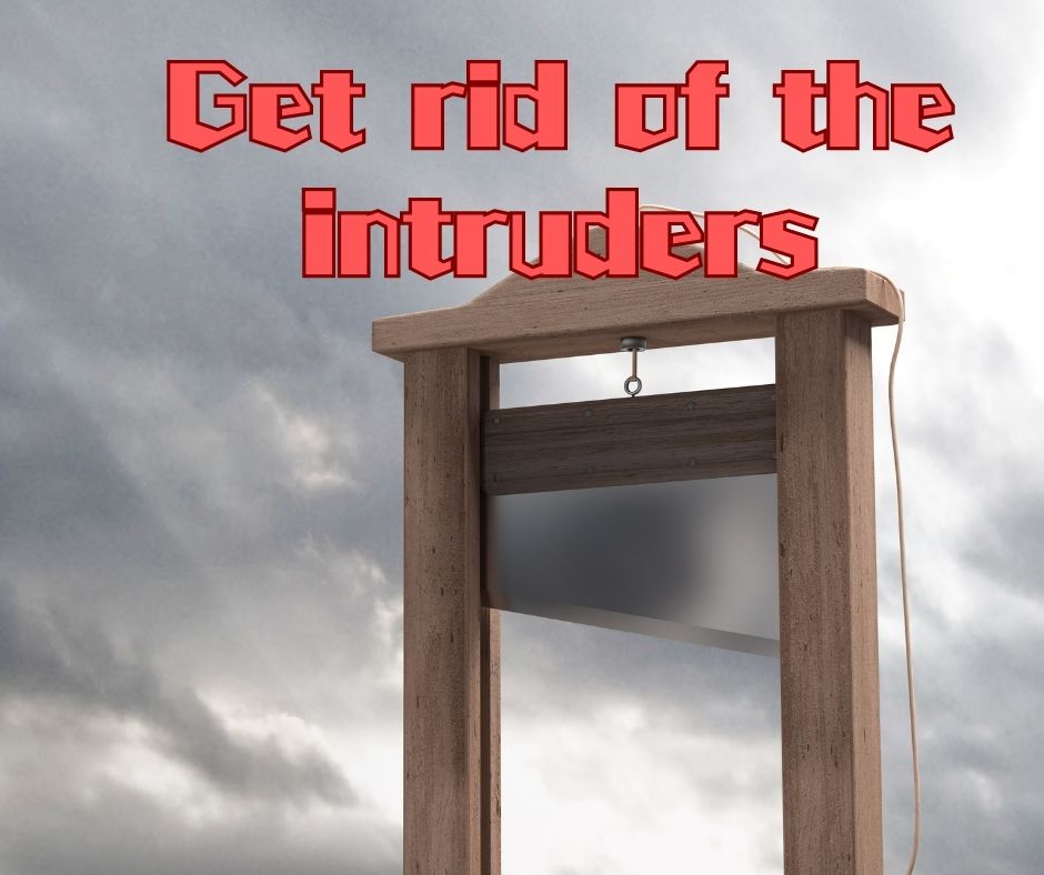 ギロチンの画像の上に「Get rid of the intruders」のメッセージ
邪魔者は消せ！