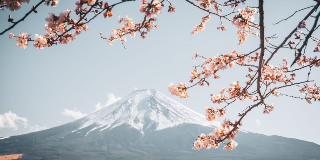 受験合格発表の季節のイメージ。

遠くに富士山が見え、手前に桜の咲いている枝が写った写真。