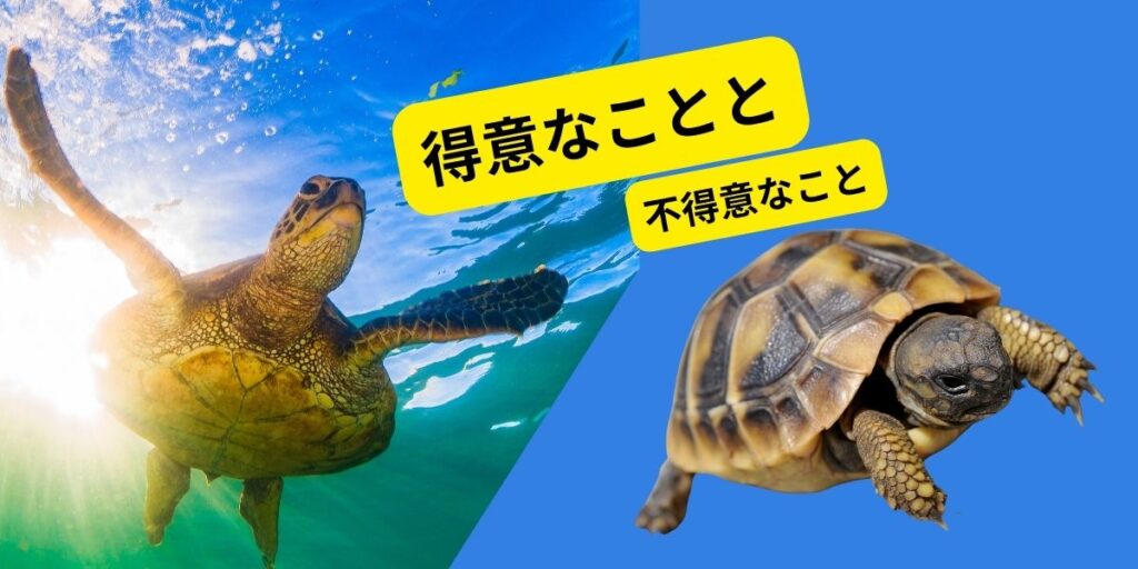 大海原を優雅に、自由に泳ぐウミガメの画像と、地面をのそのそ不器用に歩く亀の姿。

テキストメッセージで

「得意なことと、不得意なこと」

と書いてある。