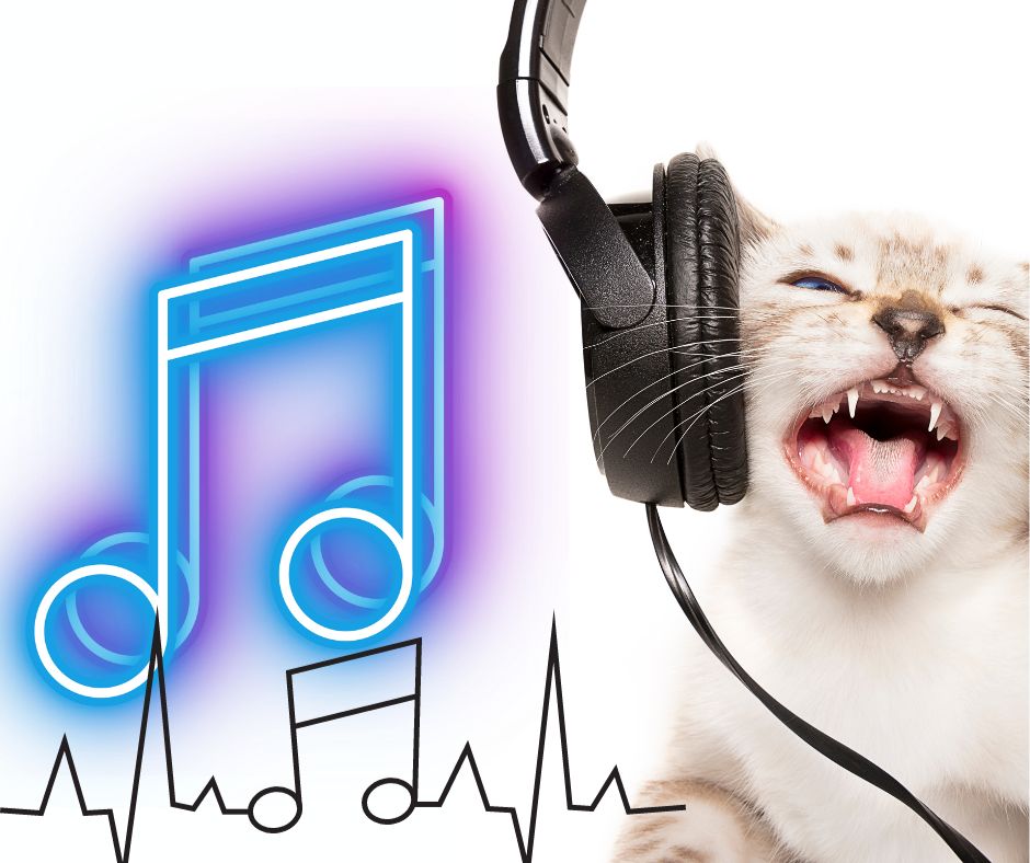 Excited cat listening to music on headphones