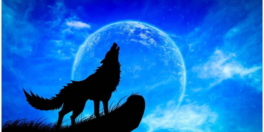 howling wolf