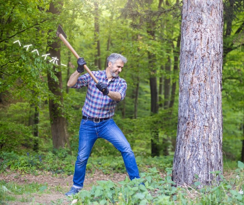 lumberjack cuts a tree