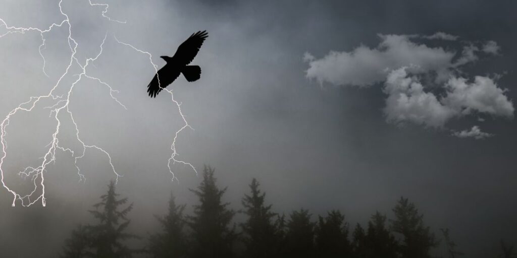 A-bird-flies-through-dark-clouds