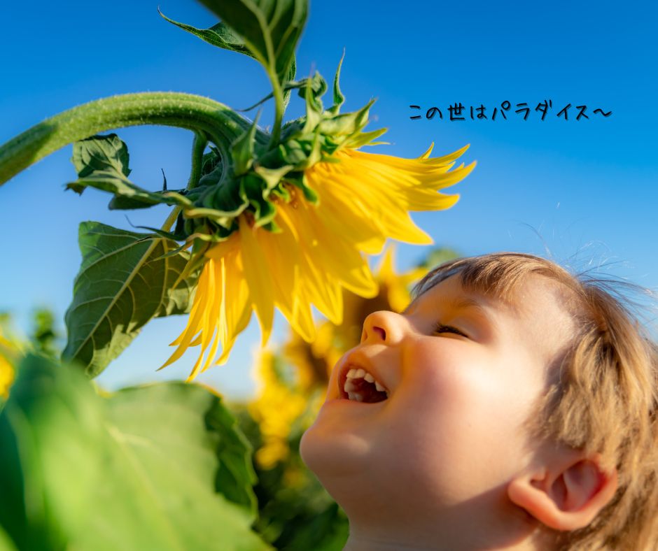 お花畑の中で、ひまわりに顔を近づけて幸せそうに目を閉じる子供の画像。
テキストメッセージで、
「この世はパラダイス〜」と書いてある。

unsuspecting people