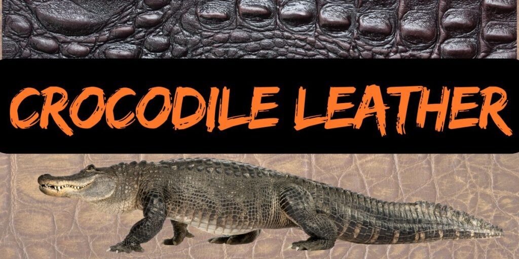 crocodile leather